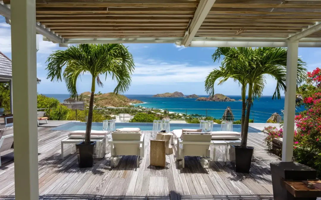 Análisis TON vs Solana: ¿qué cadena está mejor posicionada para las apps de consumo?